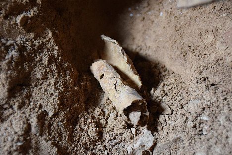 Qumran: Geplünderte Schriftrollen-Höhle entdeckt