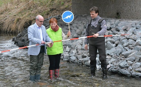 Fischotter brauchen "Laufstege"