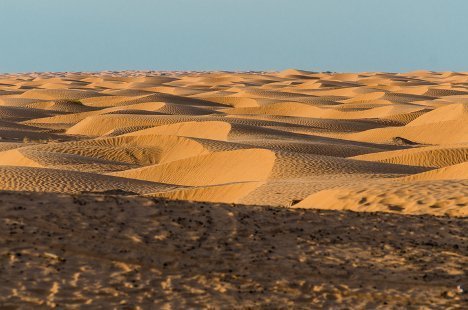 Haben Menschen die Sahara geschaffen?