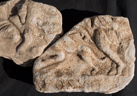 Mithras-Heiligtum auf Korsika entdeckt