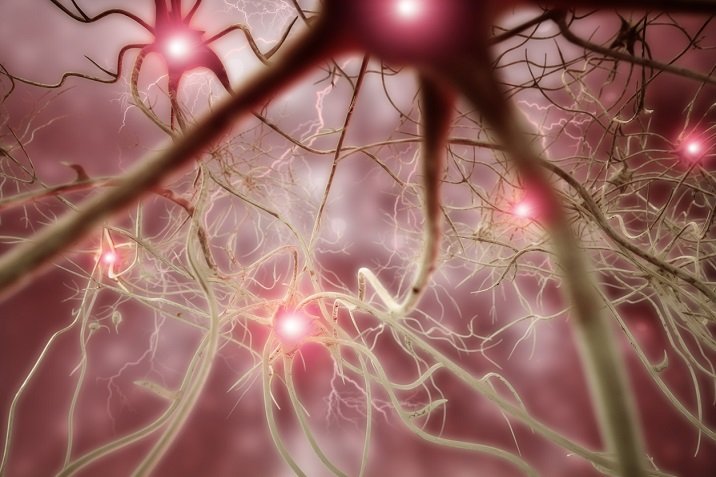 Ein Bluttest auf Parkinson