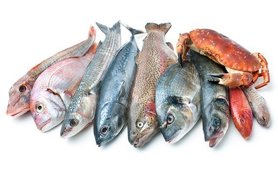 Fisch: Ab jetzt essen wir "auf Pump"