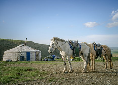 Ursprung der Reiternomaden geklärt
