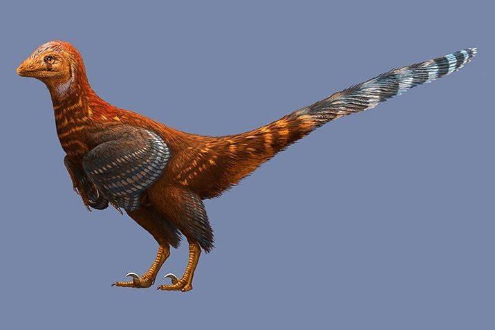 Ein Dino mit erstaunlich modernen Federn