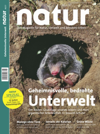 Geheimnisvolle, bedrohte Unterwelt