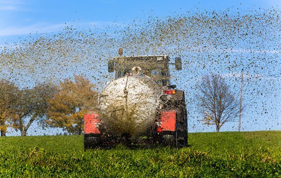 Gülle bringt Resistenzen in die Umwelt – auch bei uns