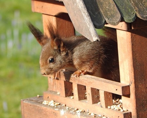 Hausbesuch