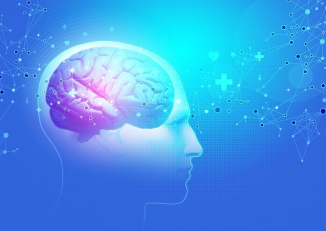 Intelligenz-Gene identifiziert