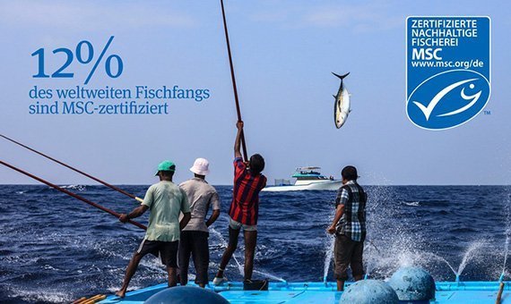 20 Jahre Marine Stewardship Council (MSC)
