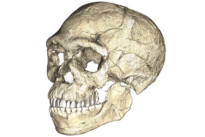Homo sapiens: Älter als gedacht?
