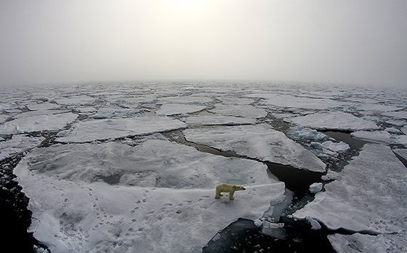 Arktis: Immer mehr winterliche "Hitzewellen"