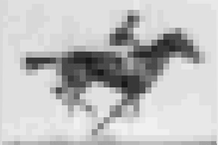 Lebende Zellen als Datenspeicher