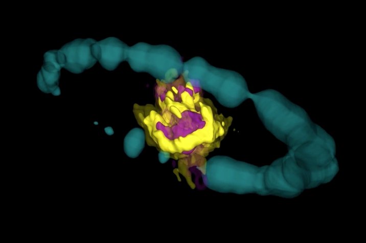 Moleküle aus der Supernova
