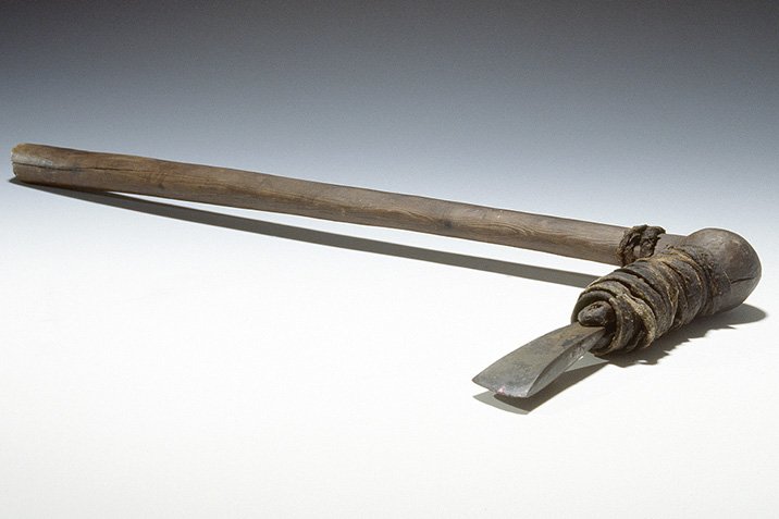 Ötzi: Unerwartete Fernbeziehungen