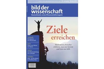 bild der wissenschaft 10-17