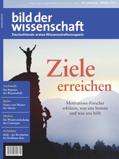 Ziele erreichen