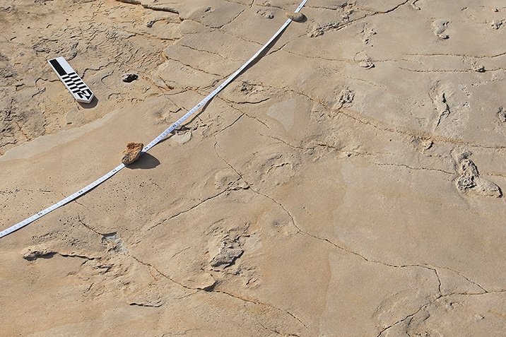 Fußspuren eines Vormenschen auf Kreta?