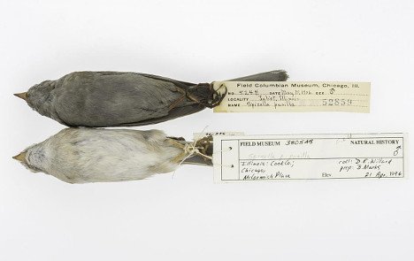 „Dreckspatzen“ berichten von der Geschichte der Umweltverschmutzung