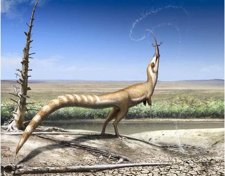 Getarnter Dino mit "Banditenmaske"