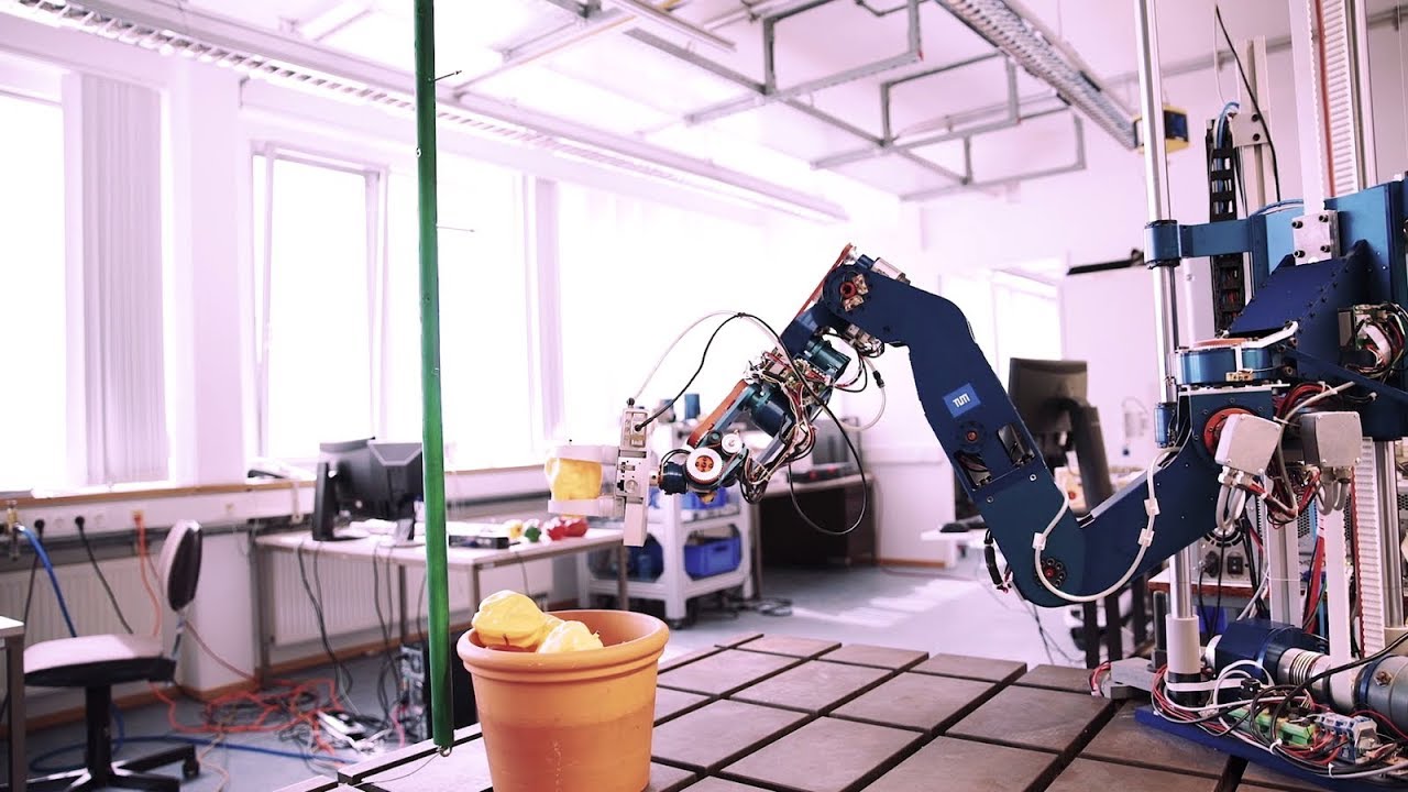 Roboter für die Gemüseernte