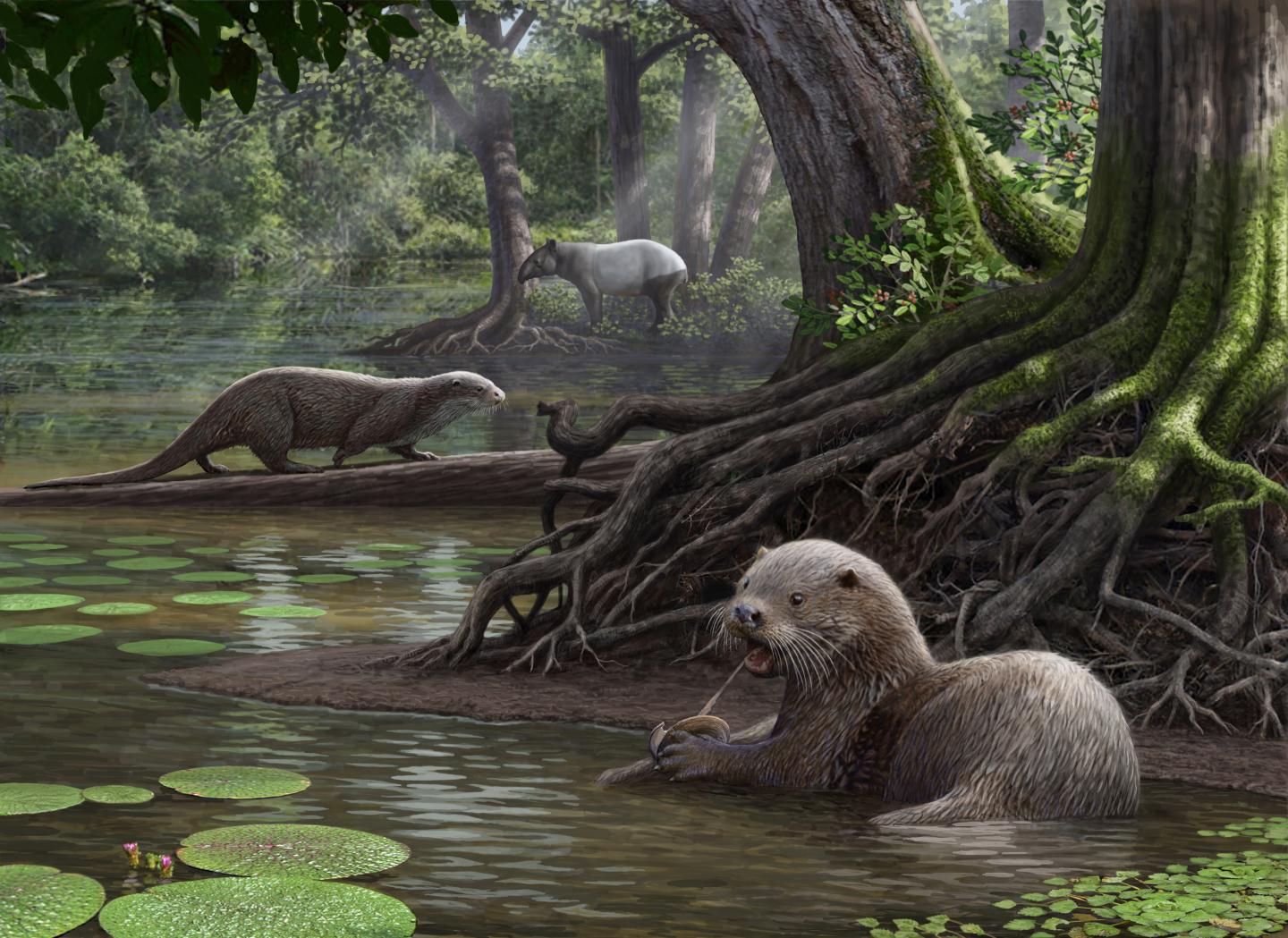 Der Goliath-Otter mit dem Supergebiss
