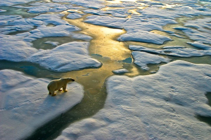 Der Klimawandel machte keine Pause