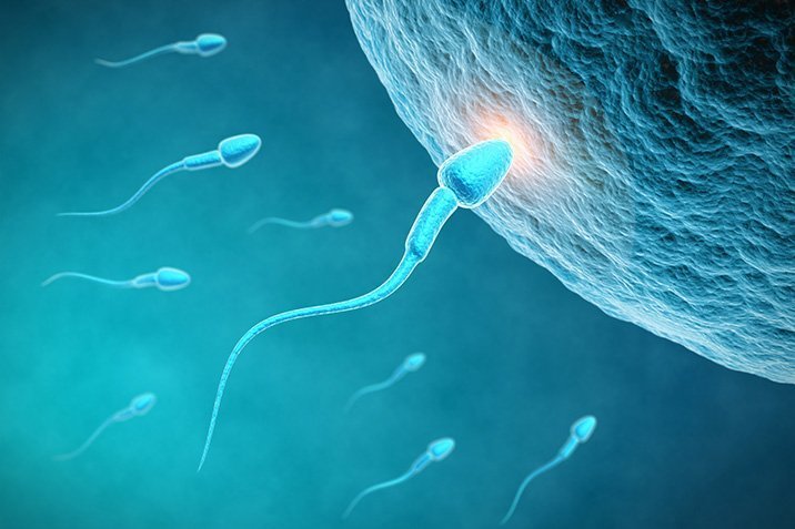 Schadet Feinstaub den Spermien?