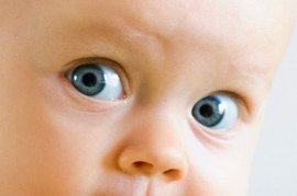 Schon Babys "blicken" Wahrscheinlichkeiten
