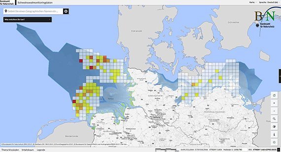 Online-Karten unserer Meeressäuger und Vögel