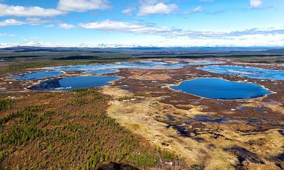 Tundra: Feuer wirkt lange nach