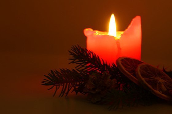 Weihnachtsromantik auf Kosten der Tropenwälder