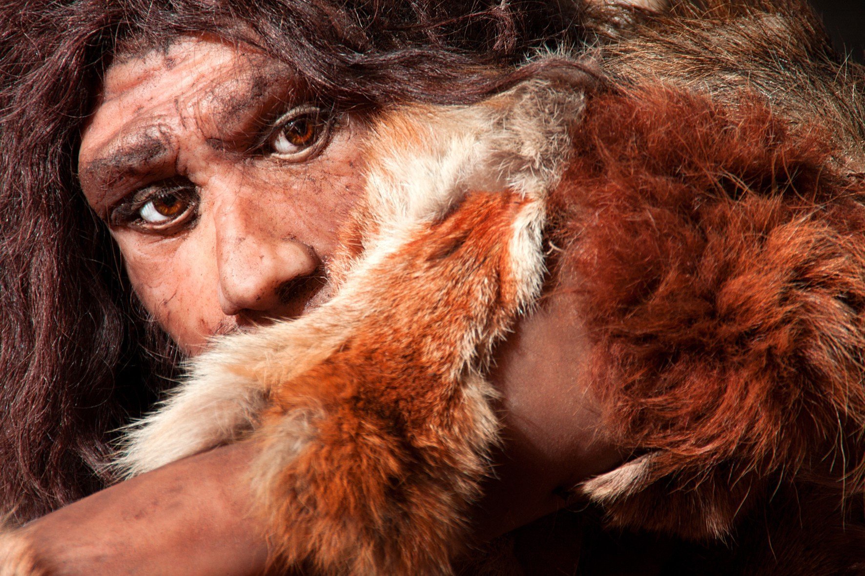 Das Leben der Neandertaler