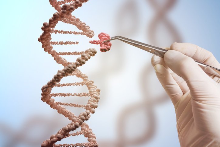 Die Genschere Crispr/Cas 9 – Manipulation im Erbgut