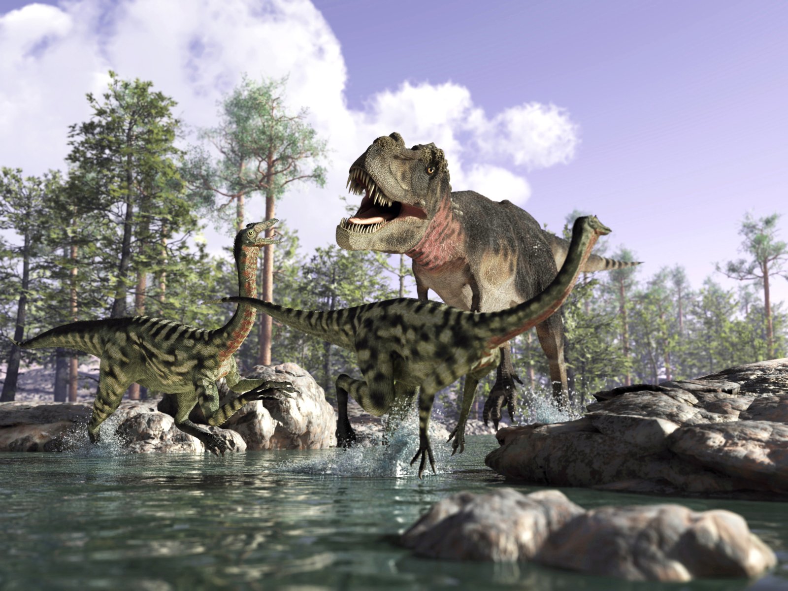 Dinosaurier – Riesen der Urzeit