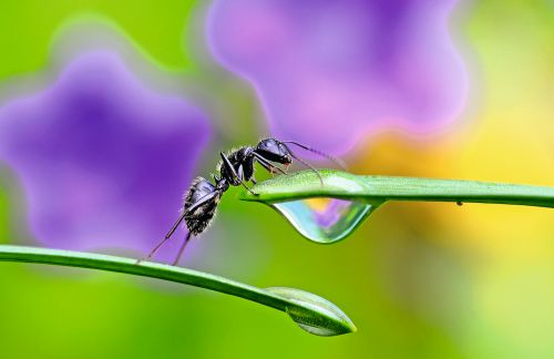 Ein Auge für Naturschätze