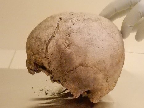 Bevölkerungsgeschichte im genetischen Spiegel