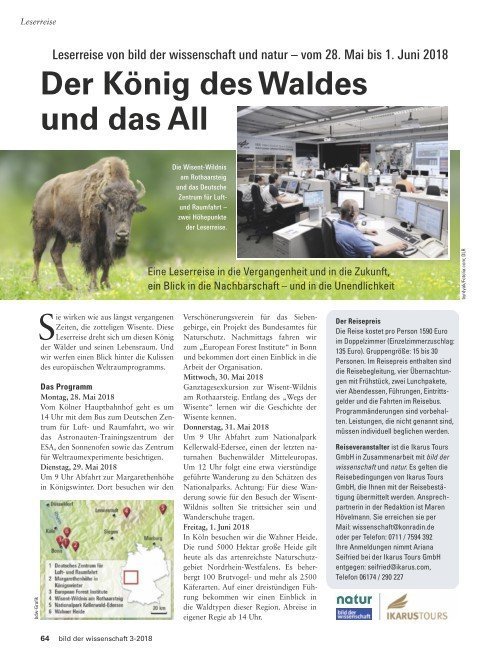 Der König des Waldes und das All