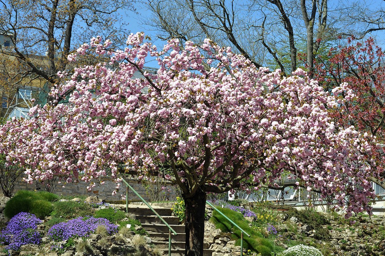 Frühstart in den Frühling