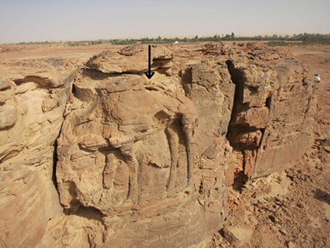 Lebensgroße Dromedar-Reliefs aus der Antike