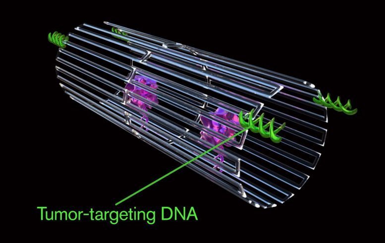 Nanoroboter "erwürgen" Tumore