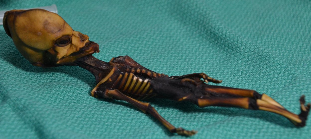 Doch kein "Alien"