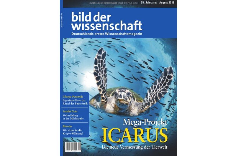 bild der wissenschaft 08-18