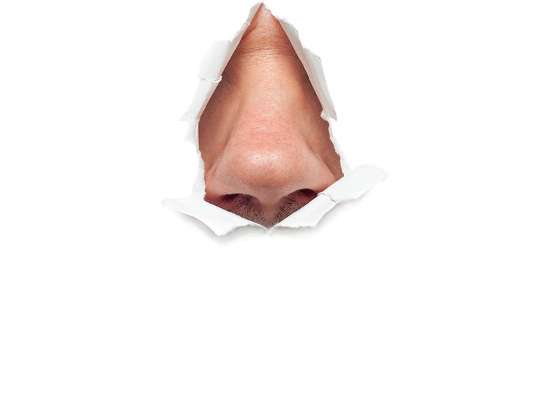 Was prägte die Nasenformen?