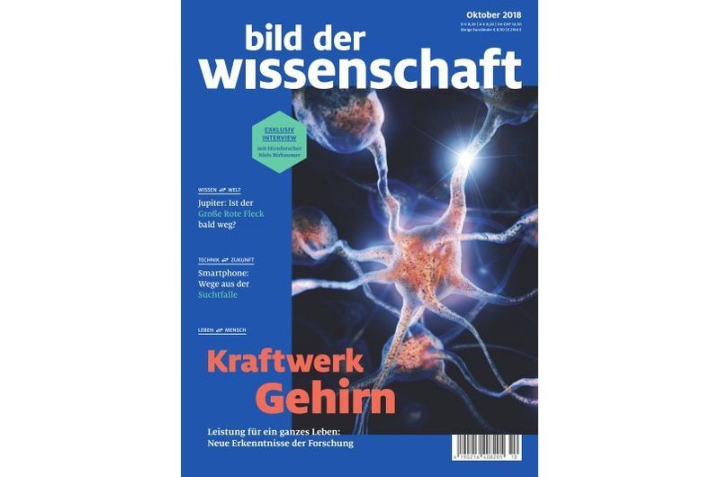 bild der wissenschaft 10-18