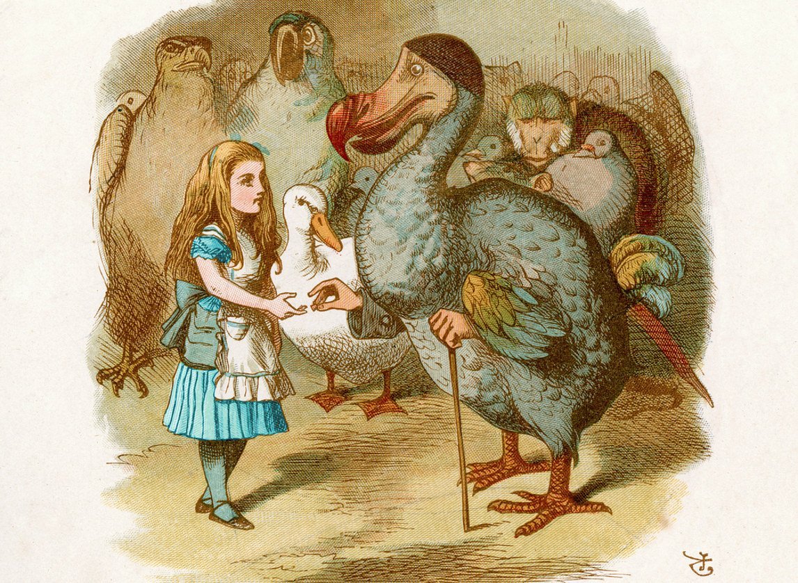 War der Dodo wirklich dumm?