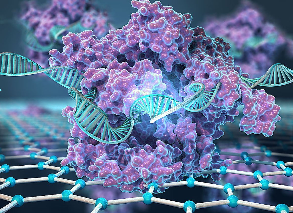 „CRISPR-Chip“ erkennt Mutationen in Minuten