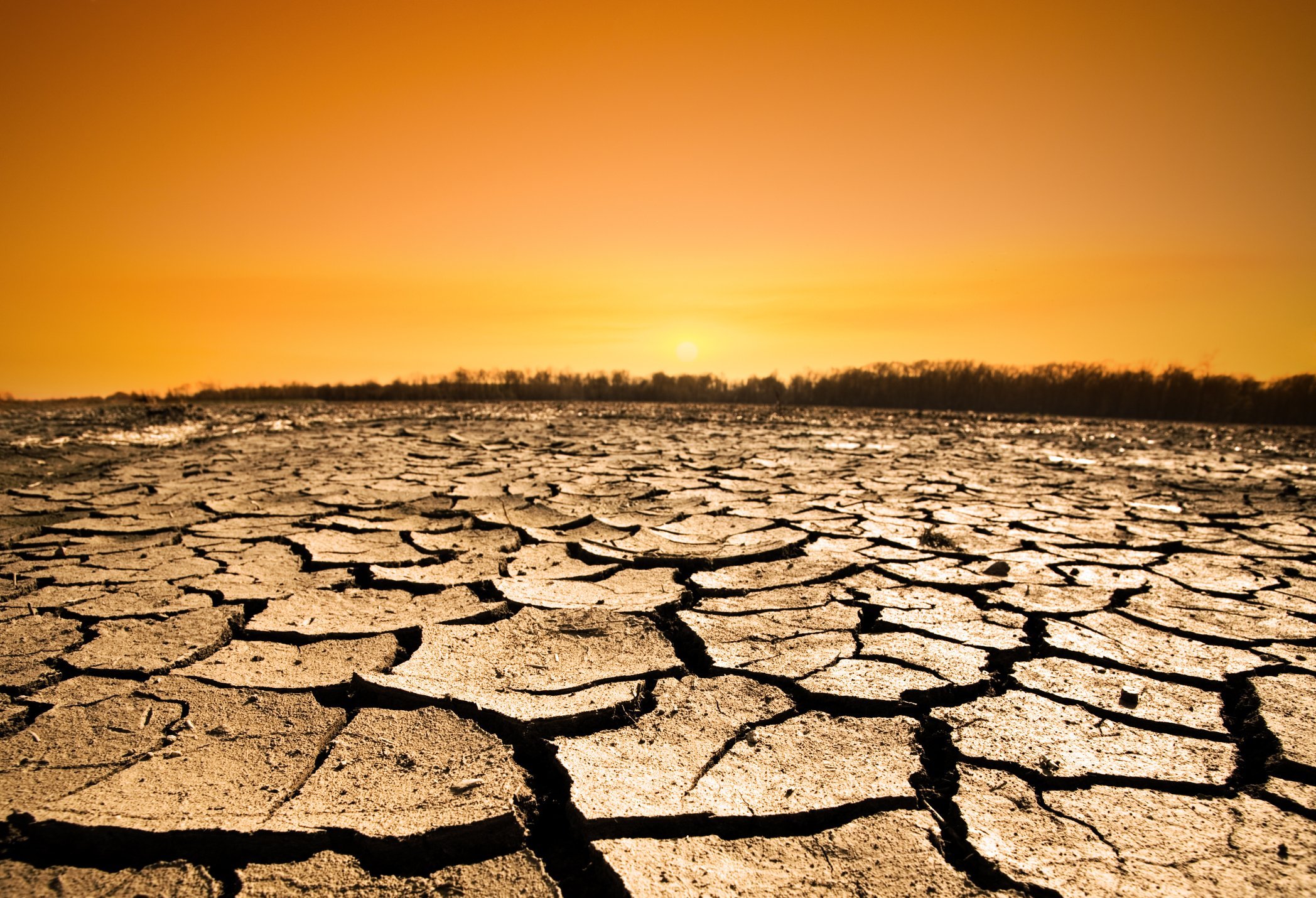 Was Forscher über den Klimawandel wirklich wissen