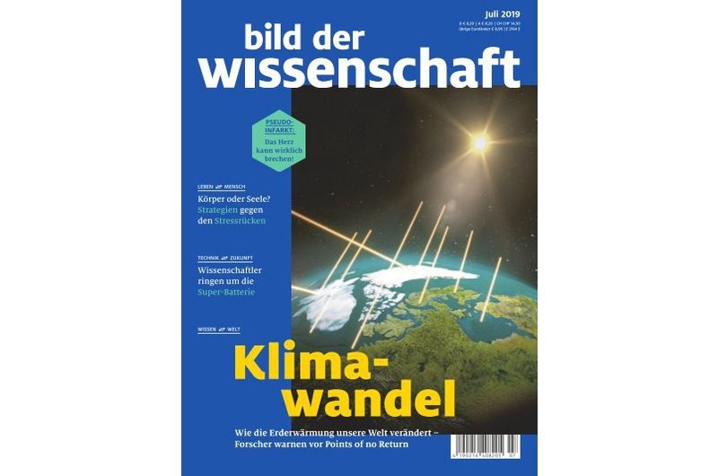 bild der wissenschaft 07-19
