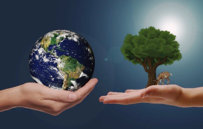 Wie Ökostrom den Klimawandel bremst