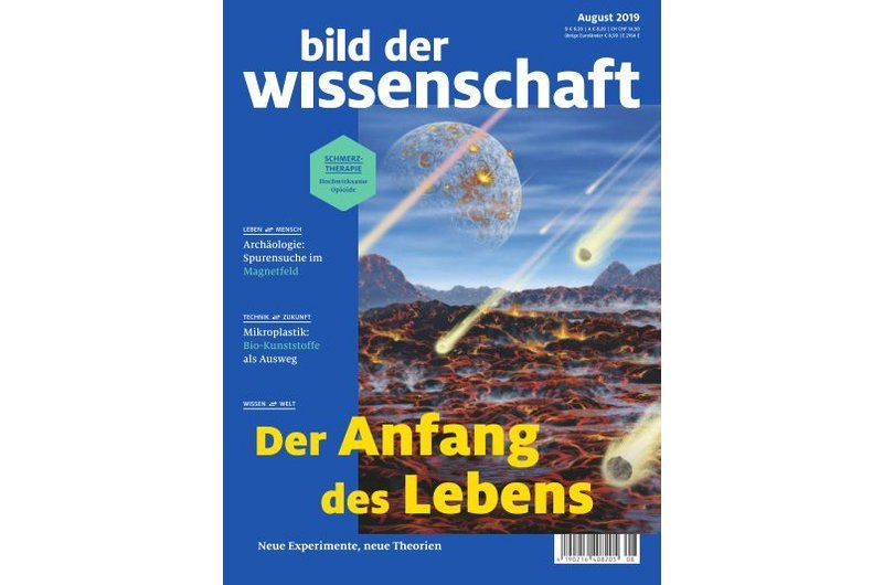 bild der wissenschaft 08-19